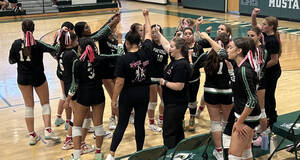 Carousel image 86c58212e19e4ec7cd0c team huddle