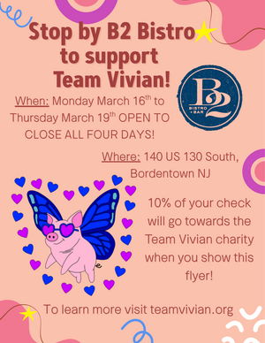 Carousel image f5e53c6b8bce4e030311 team vivian flyer