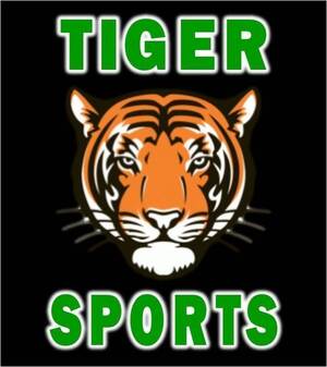 Carousel image 0ae410f0ae15a2472a83 tiger sports logo