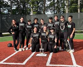 Carousel image 46b949ea82d205c4d2be tigersgirlssoftball