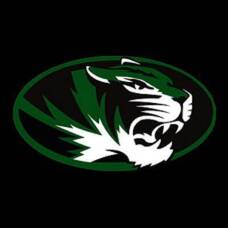 Carousel image e34bba5c29c85c9ee5b8 tigers logo