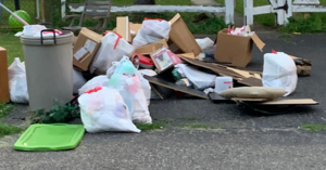 Carousel image 288f7602fbdeb3cd6064 trash pburg litter