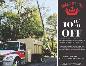 Carousel_image_659787012ff99a7c3317_tree_king