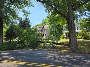 Carousel image 76df35e72b63d48c0c2e tree down