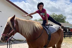 Carousel image be2ba11a0ba67f843a6e trailblazers webtrac