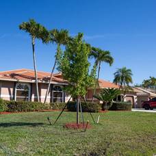 Carousel image clone 1692686 2b9e888b3c5400c67c20 treeprogram