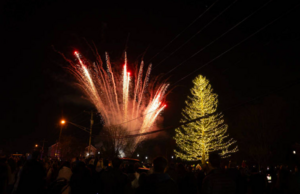 Carousel image fadcc4d98678eb7b9660 treelighting bc