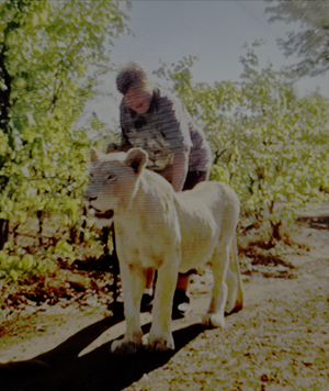 Carousel image 341b9a854233127ef0eb twenty five years since brueck biked america photo