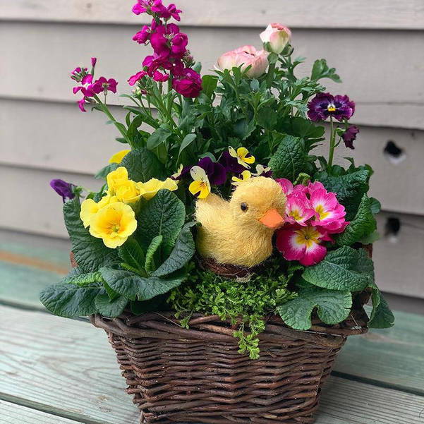 All Your Easter Items Available At Reynolds Garden Shop By