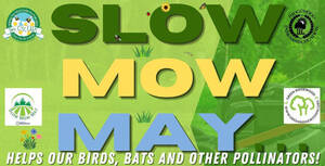 Carousel image 95fdac34ddc2744cbf7f unnamed  26 