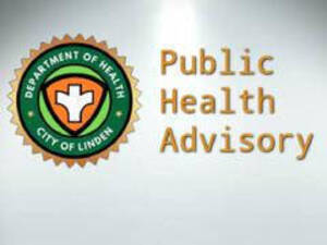 Carousel image c3b07dfe4ba8add7c853 unnamed  21 