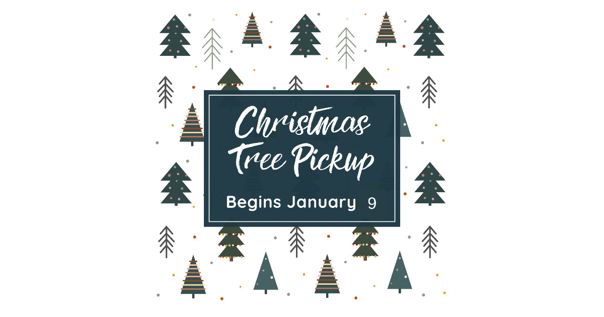 Scotch Plains Christmas Tree Pickup to Begin on Monday, Jan. 9 Scotch