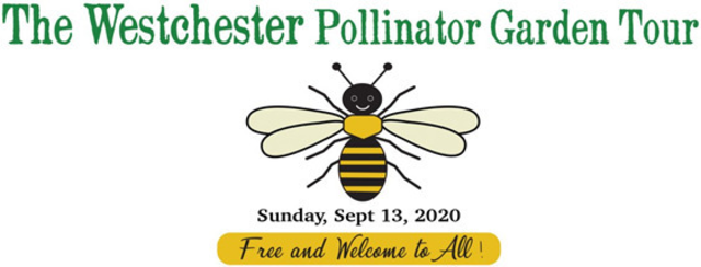 Top_story_27144e516767db48be9e_untitled