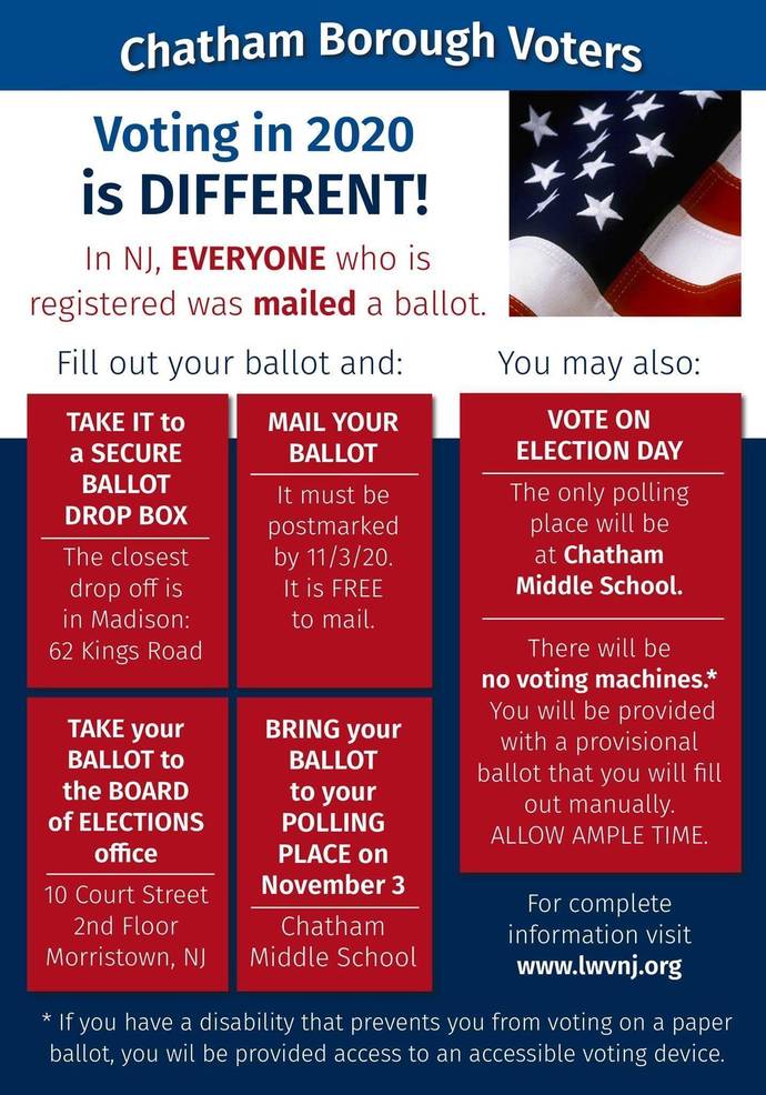 Voting Explanation.jpeg