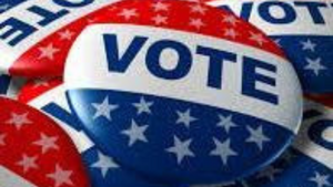 Carousel image 559d037db9cb2c396b8d vote canva