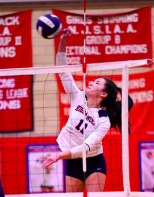 Carousel image 650c274b0ae6a7e3e796 volleyball
