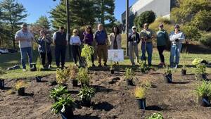 Carousel image 95fa7b1eadeb90c4fb13 wcc 2