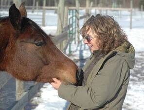 Carousel image c66bb7eb6d4e874f345d west fulton mustang valley sanctuary  022726 photo 1