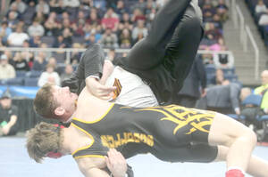 Carousel image e007f422f1c29e5a2ce7 we are the champions 2