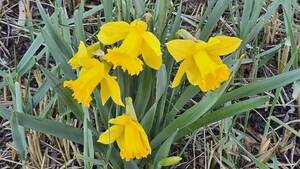 Carousel image 1ca7f2b776283c041787 whatsapp image 2026 03 29 at 6.30.48 pm