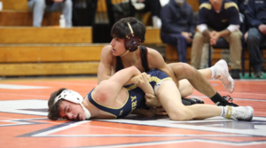 Carousel image 906610c0ac1f55460ea1 wh wrestling 1