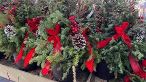 Carousel image 84050a83583541a74ba7 winter container gardens photo credit melindamyers300