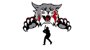 Carousel image c8f872e519303e2b632a wildcat baseball