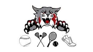 Carousel image cc5c6c6b0f37a64712fa wildcat spring sports