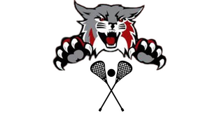 Carousel image d880f9ad12ed50fd9e1f wildcat lax