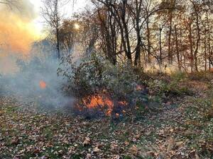 Carousel image fa3a788e963ed98d3b92 wildfire