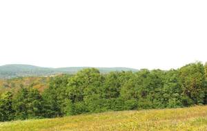 Carousel image 2d5a9213dbababdab407 woods columbia land conservancy