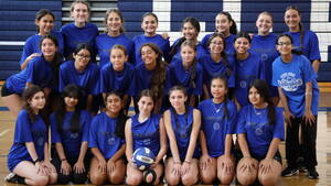 Carousel image f25d5de39b6568dcdccd wood ridge girls volleyball team