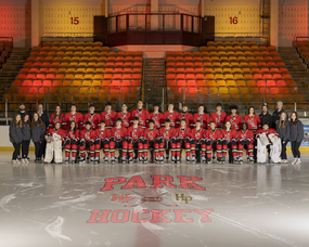 Carousel image 5f9aaaaaa4293a02c7ab wp ice hockey team