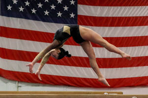 Carousel image f7086ee89218fd7be78c yn gymnastics div2 lakelnd 250204 27