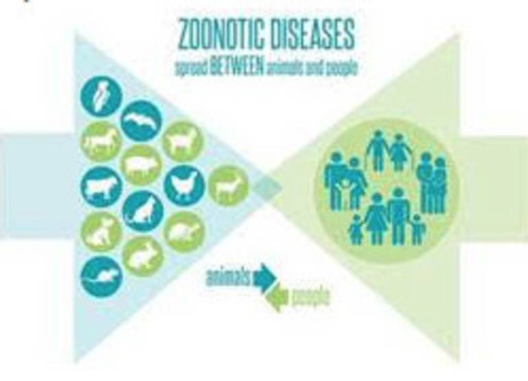 Healthy People Healthy Animals Healthy Environment Tapinto