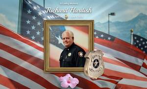 Carousel image 042cce ichard ardish