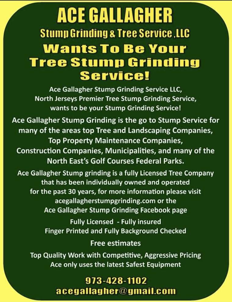Ace Gallagher Stump Grinding Service LLC Hanover Township, NJ