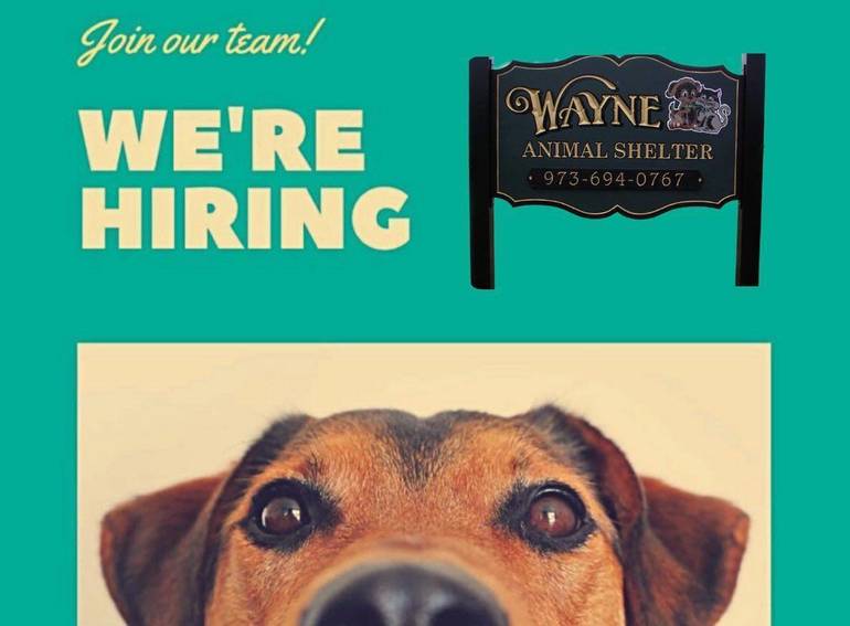 Wayne Animal Shelter is Hiring | TAPinto Animal shelters hiring near me