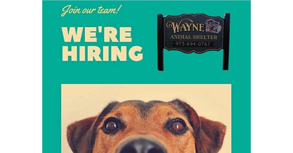 wayne-animal-shelter-is-hiring-tapinto