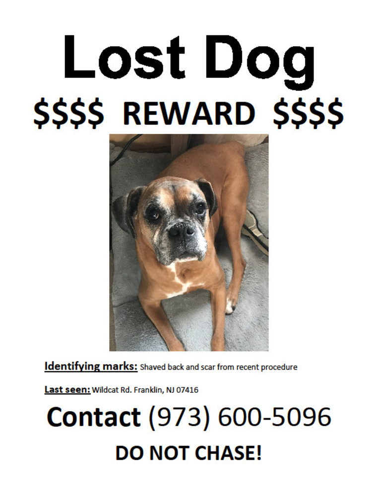 Bailey missing.png