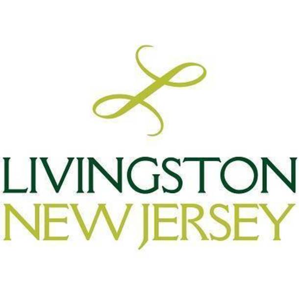 Livingston New Jersey logo