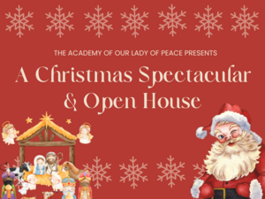 Carousel image f7b86e406527e070ce7b christmas spectacular open house