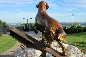 Carousel_image_54561a5ebf2df03ed089_mini_magick20200831-8422-19kdxma