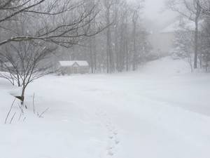 Carousel image 1c08428b8460d3b6d984 cd36d65e8a0afe56c4d4 056