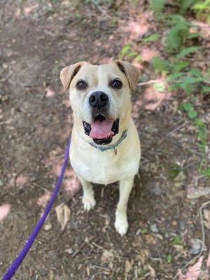 Carousel_image_81a4c0d3f2f30901cdac_mini_magick20201105-5004-r2mt3t