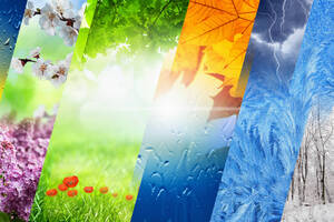 Carousel image 44535051ced2f316e5f9 mini magick20250724 1426415 eneqo7