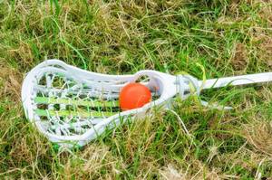 Carousel image 87abb174bd5def2da740 mini magick20240511 25283 18s1yfy