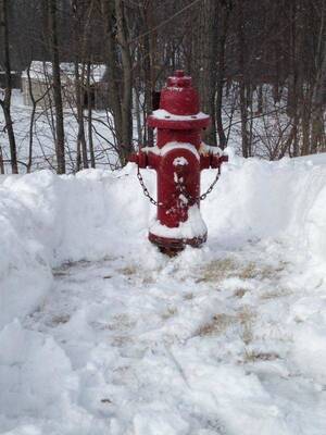 Carousel image dad312c2f6c9306725c5 mini magick20260309 496145 7wb2v0