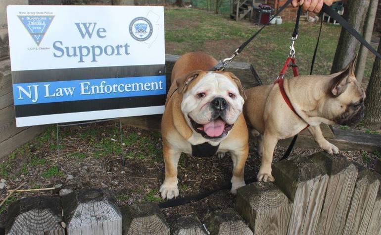 free rabies shots for dogs near me 2019