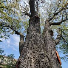 Carousel image 16be0fa1cb090baa3b4d mini magick20260305 4067575 1tzqugq